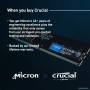 Оперативная память Crucial 16ГБ DDR5 5600 МГц CT16G56C46U5