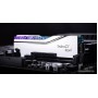 Оперативная память G.Skill Trident Z5 Royal 2x32ГБ DDR5 6400МГц F5-6400J3239G32GX2-TR5S