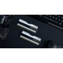 Оперативная память G.Skill Trident Z5 RGB 2x32ГБ DDR5 6000МГц F5-6000J3636F32GX2-TZ5RW