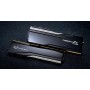 Оперативная память G.Skill Trident Z5 CK RGB 2x24ГБ DDR5 8200 МГц F5-8200C4052G24GX2-TZ5CRK