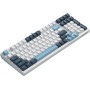 Клавиатура A4Tech Fstyler FS300 Panda Snowboarding