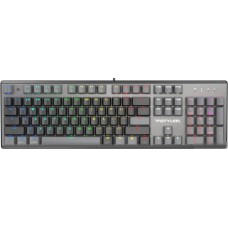 Клавиатура A4Tech Fstyler FS100 Neon (серый/черный)