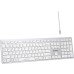 Клавиатура A4Tech Fstyler FBX50C (серебристый/белый)
