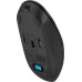 Мышь A4Tech Fstyler FG16CS Air2 (черный)