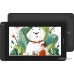Графический монитор Huion Kamvas 12 (черный)