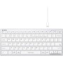 Клавиатура A4Tech Fstyler FBX51C (серебристый/белый)