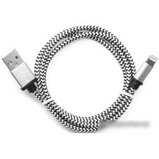 Кабель Cablexpert CC-ApUSB2sr1m