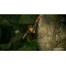 Uncharted: Наследие воров. Коллекция для PlayStation 5