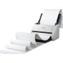 Сканер Epson WorkForce DS-530II