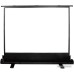 Проекционный экран CACTUS FloorExpert 90x160 CS-PSFLE-160X90