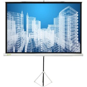 Проекционный экран CACTUS Triscreen CS-PST-124x221