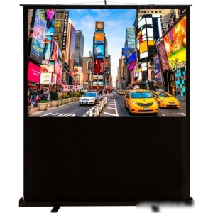 Проекционный экран CACTUS FloorCompactExpert 113x200 CS-PSFLCE-200X113