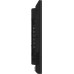 Информационная панель Hisense 55DM66D