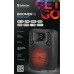 Беспроводная колонка Defender Boomer 10