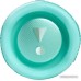Беспроводная колонка JBL Flip 6 (бирюзовый)