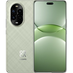 Смартфон Huawei nova 13 Pro MIS-LX9 12GB/512GB (дымчатый зеленый)