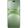Смартфон Huawei nova 13 Pro MIS-LX9 12GB/512GB (дымчатый зеленый)