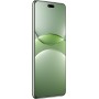 Смартфон Huawei nova 13 Pro MIS-LX9 12GB/512GB (дымчатый зеленый)
