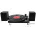 Виниловый проигрыватель Ritmix LP-240 (черный)