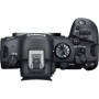 Беззеркальный фотоаппарат Canon EOS R6 Mark II Kit RF 24-105mm f/4L