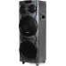 Колонка для вечеринок Aiwa CAS-1001