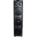 Колонка для вечеринок Aiwa CAS-1031