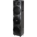 Колонка для вечеринок Aiwa CAS-1031
