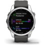 Умные часы Garmin Fenix 7S 42 мм (серебристый/графитовый)