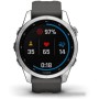 Умные часы Garmin Fenix 7S 42 мм (серебристый/графитовый)
