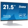Монитор Iiyama ProLite T2252MSC-W2