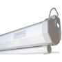 Проекционный экран PL Magna MWM-NTSC-120D