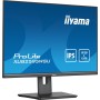 Монитор Iiyama ProLite XUB2595WSU-B5