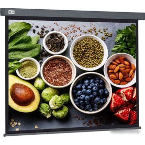 Проекционный экран CACTUS Wallscreen 150x150 CS-PSW-150X150-SG