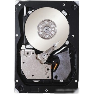 Жесткий диск Seagate Cheetah 15K.7 SAS 300GB (ST3300657SS) Жесткий диск Seagate Cheetah 15K.7 SAS 300GB (ST3300657SS)