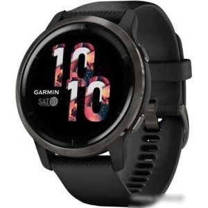 Умные часы Garmin Venu 2 (сланцевая нержавеющая сталь/черный)
