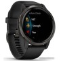 Умные часы Garmin Venu 2 (сланцевая нержавеющая сталь/черный)