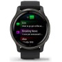 Умные часы Garmin Venu 2 (сланцевая нержавеющая сталь/черный)