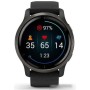Умные часы Garmin Venu 2 (сланцевая нержавеющая сталь/черный)