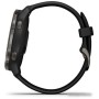 Умные часы Garmin Venu 2 (сланцевая нержавеющая сталь/черный)