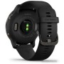 Умные часы Garmin Venu 2 (сланцевая нержавеющая сталь/черный)