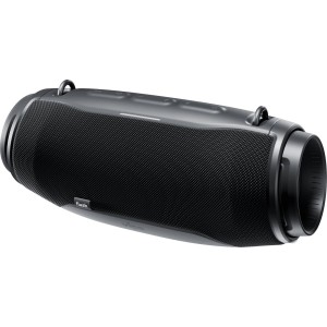 Беспроводная колонка Vipe Flash (черный) Беспроводная колонка Vipe Flash (черный)