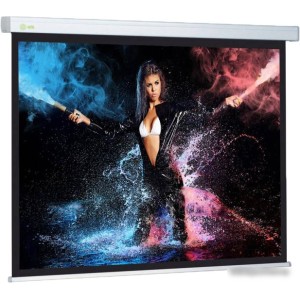 Проекционный экран CACTUS Wallscreen CS-PSW-168x299 Проекционный экран CACTUS Wallscreen CS-PSW-168x299