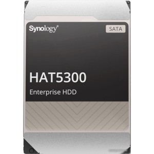 Жесткий диск Synology HAT5300 20TB HAT5310-20T