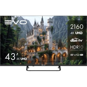 Телевизор Evo TV 43 Black TD0051752RU
