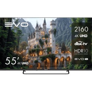 Телевизор Evo TV 55 Black TD0051754RU