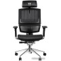 Кресло Thermaltake CyberChair E500 GGC-EG5-BBLFDM-01 (черный)
