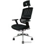Кресло Thermaltake CyberChair E500 GGC-EG5-BBLFDM-01 (черный)