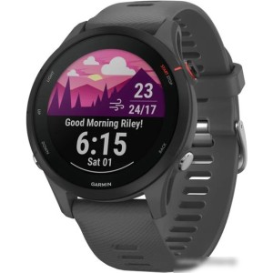 Умные часы Garmin Forerunner 255 46 мм (сланцево-серый/черный)