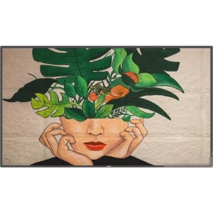 Информационная панель Philips 55BDL4511D/00