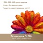 Чехол для телефона Magssory CSL046 for iPhone Air Ivory CSL046i